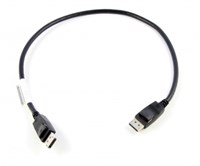 Lenovo 0.5m DisplayPort Black