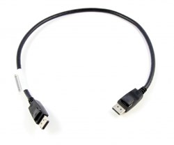 Lenovo 0.5m DisplayPort 0,5 m Zwart