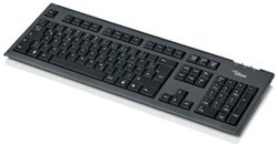 Fujitsu KB410 USB toetsenbord Kantoor Zwart