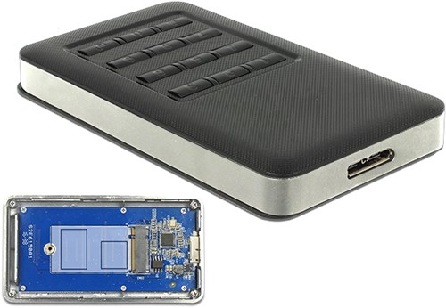 DeLOCK 42594 storage drive enclosure SSD enclosure Black, Silver M.2