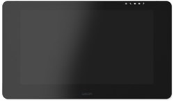 Wacom Cintiq Pro 24 grafische tablet Zwart 5080 lpi 522 x 294 mm USB