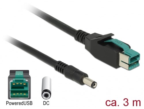 DeLOCK 85499 electriciteitssnoer Zwart 3 m PoweredUSB