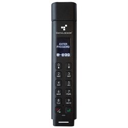 DataLocker Sentry K300 USB 3.0 32GB microSATA SSD