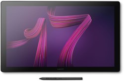 Wacom Cintiq Pro 17 grafische tablet Zwart 382 x 215 mm USB