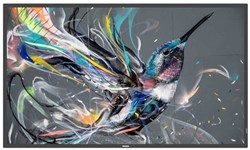 Philips 50BDL3511Q/00 beeldkrant Digitaal A-kaart 127 cm (50") 500 cd/m² 4K Ultra HD Zwart 18/7