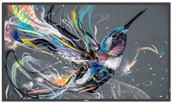 Philips Signage Solutions Q-Line Digitale signage flatscreen 139,7 cm (55") IPS 400 cd/m² 4K Ultra HD Zwart