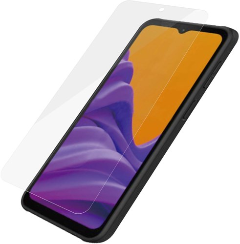 PanzerGlass Samsung Galaxy Xcover Pro2 Doorzichtige schermbeschermer 1 stuk(s)
