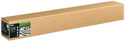 Epson C13S450272NQ plotterpapier 15 m 111,8 cm