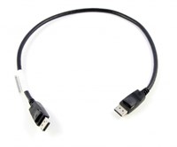 Lenovo 0.5m DisplayPort Black-2